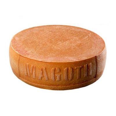 Magoth